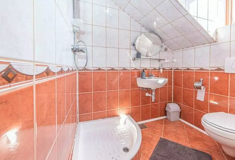 Pensiunea Zidul Cetății