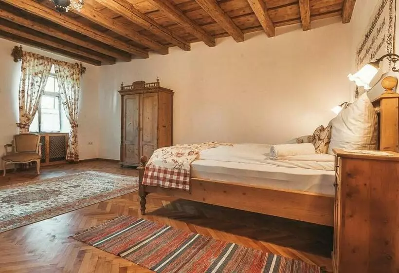 Pensiunea Zidul Cetății