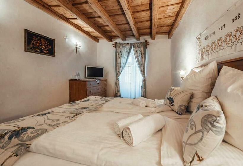 Pensiunea Zidul Cetății