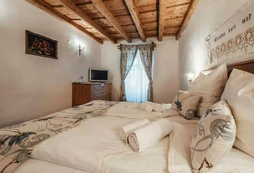 Pensiunea Zidul Cetății