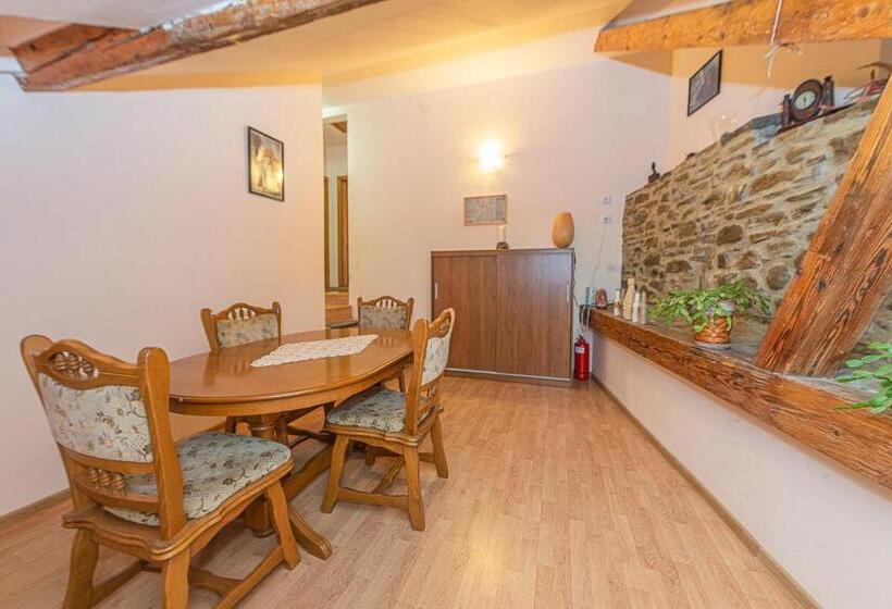 Pensiunea Zidul Cetății