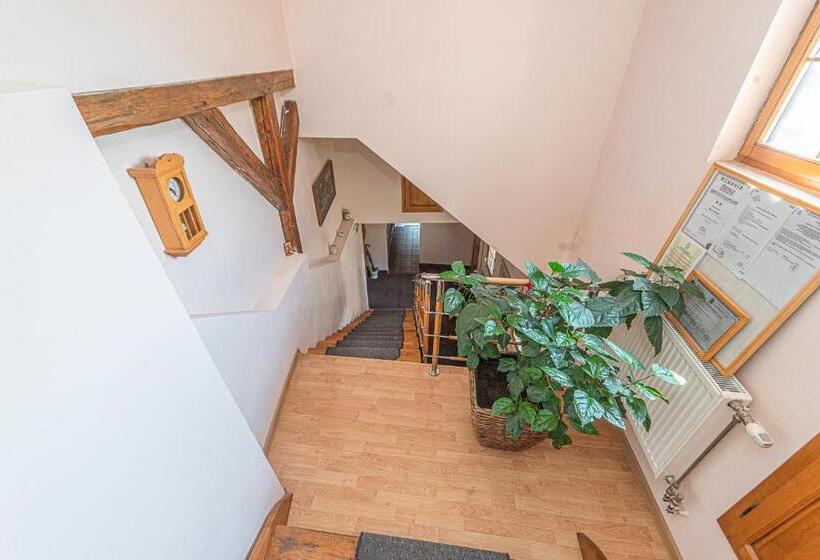 Pensiunea Zidul Cetății