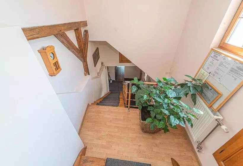 Pensiunea Zidul Cetății