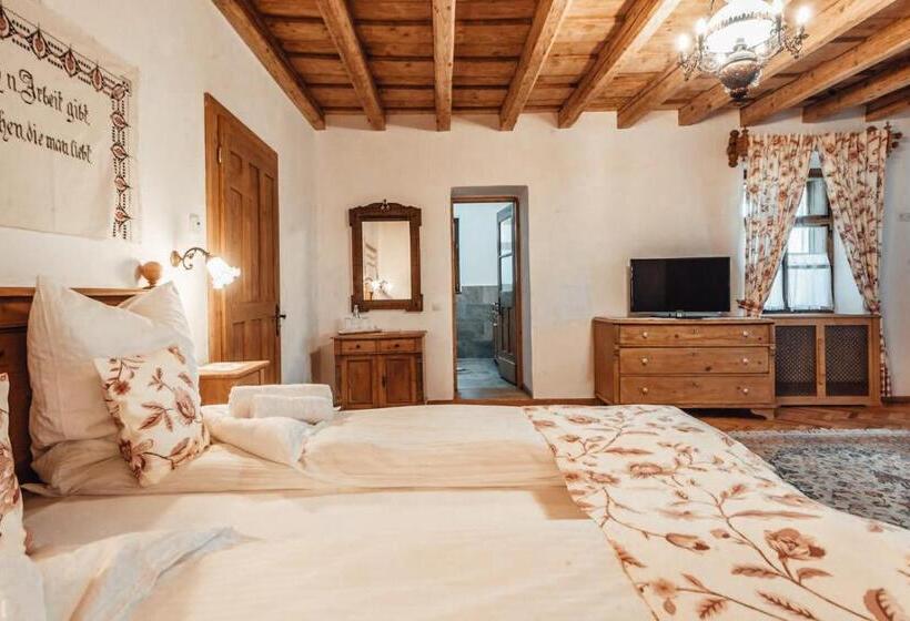 Pensiunea Zidul Cetății