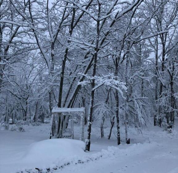 مبيت وإفطار 白樺湖ペンションロック