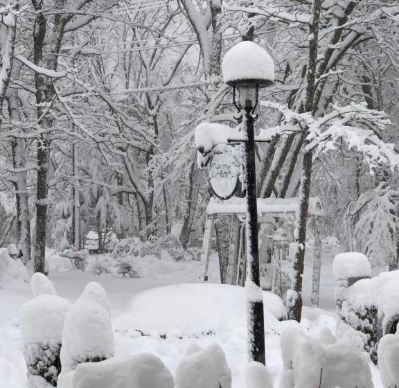 مبيت وإفطار 白樺湖ペンションロック