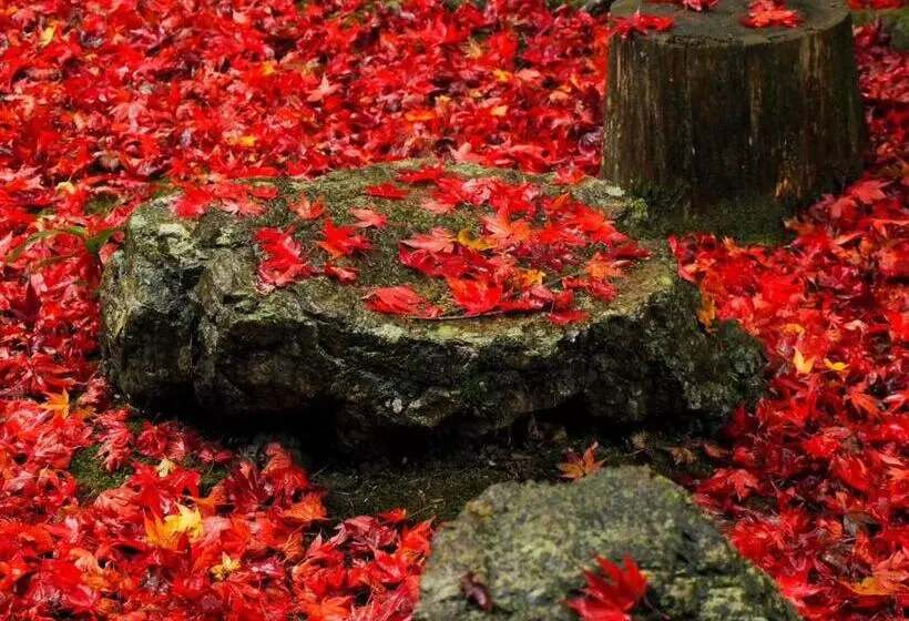 ペンション ゲストハウス メグルヤ 中山道柏原宿