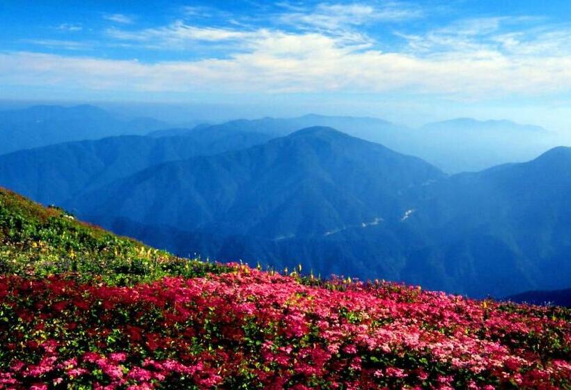 膳宿费 ゲストハウス メグルヤ 中山道柏原宿