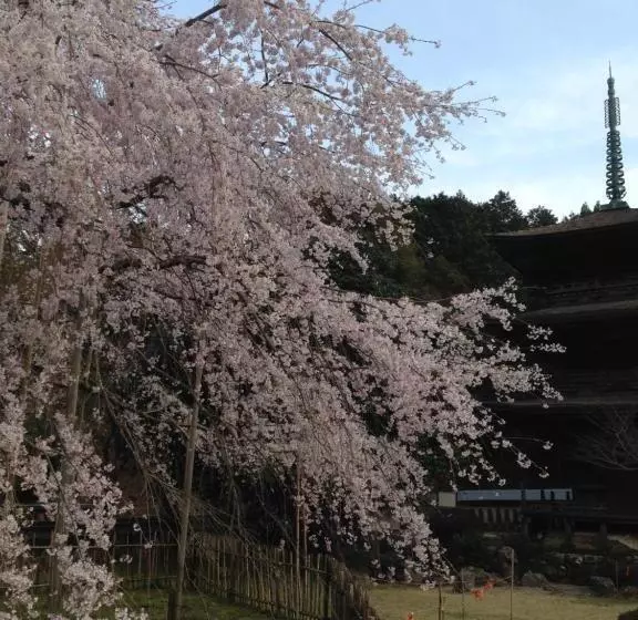 ペンション ゲストハウス メグルヤ 中山道柏原宿