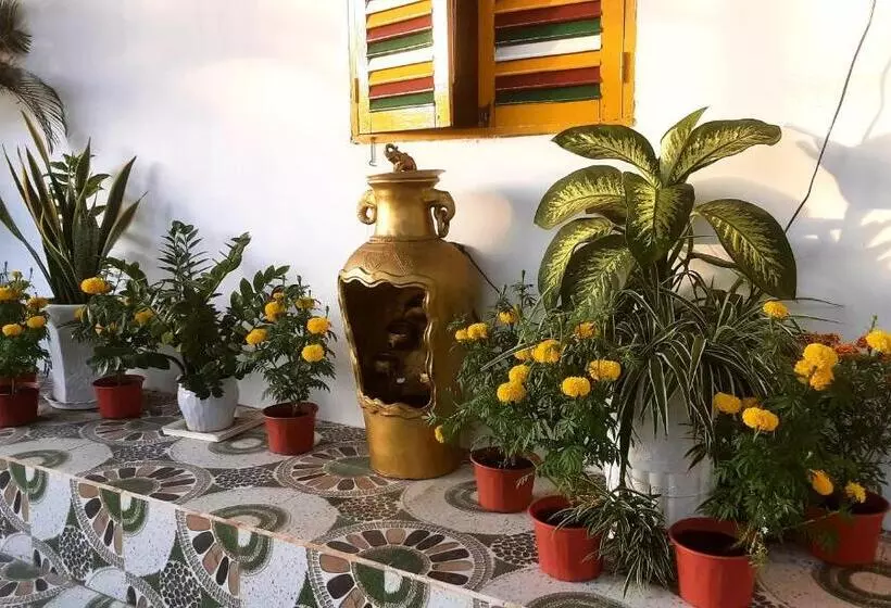 تختخواب و صبحانه Bonnie Homestay Mui Ne