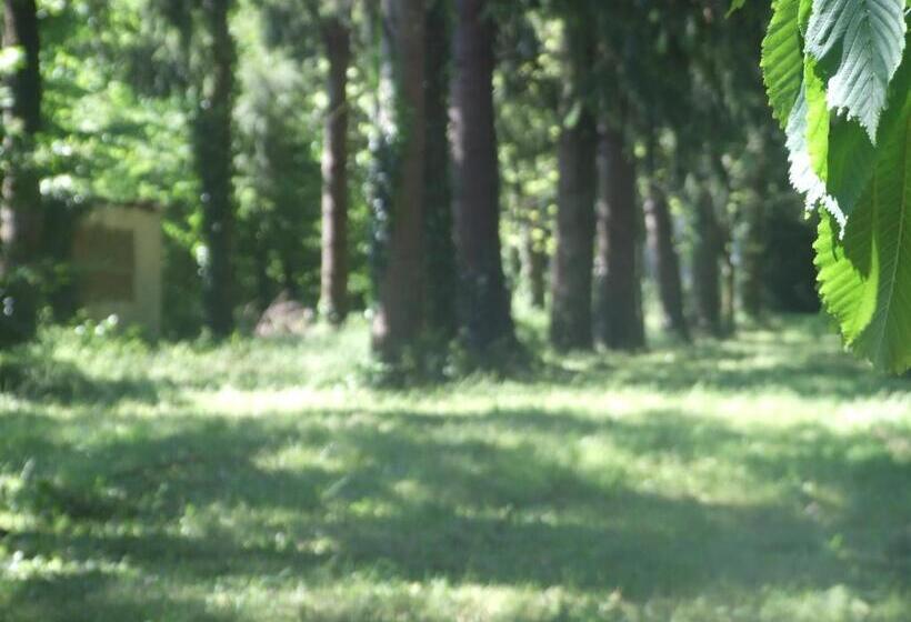 住宿加早餐 L Auberge De La Forêt