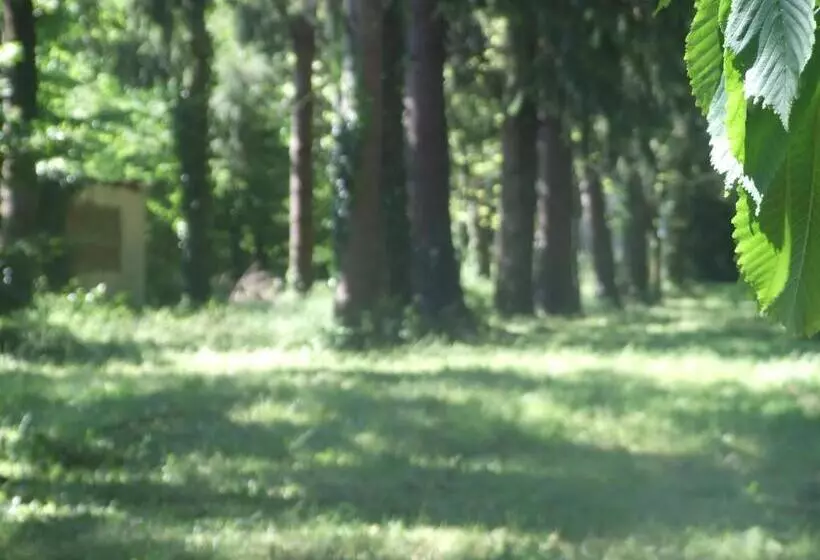 ベッドアンドブレックファースト L Auberge De La Forêt