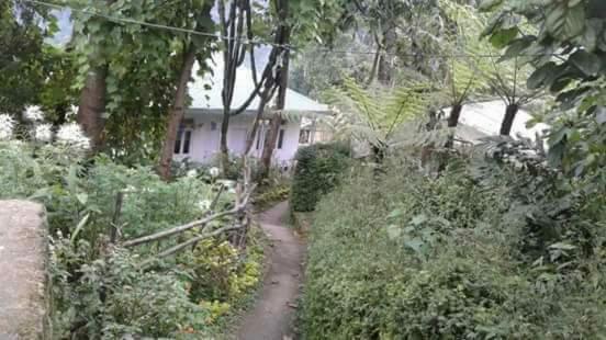 בית מלון כפרי Vamoose Yakchiri