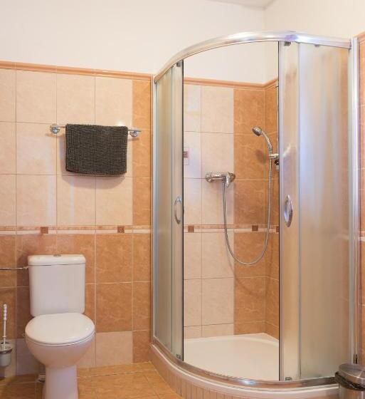 بنسيون Penzion Lihovar