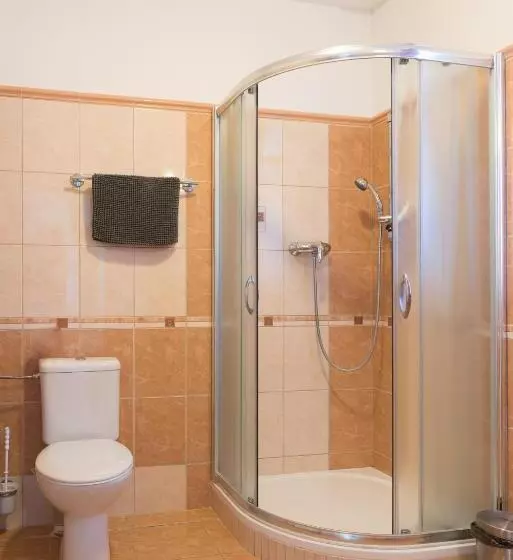 ペンション Penzion Lihovar