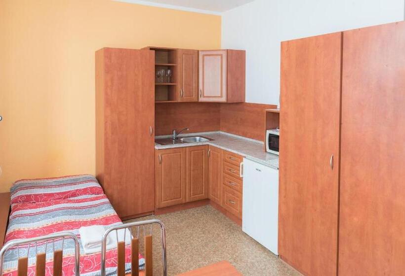 بنسيون Penzion Lihovar