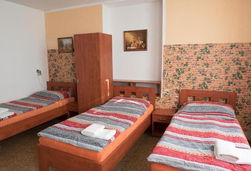 بنسيون Penzion Lihovar