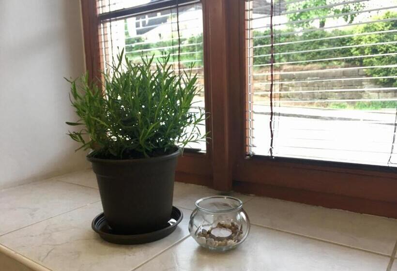 膳宿费 Penzion Sloup