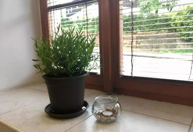 Majatalo Penzion Sloup