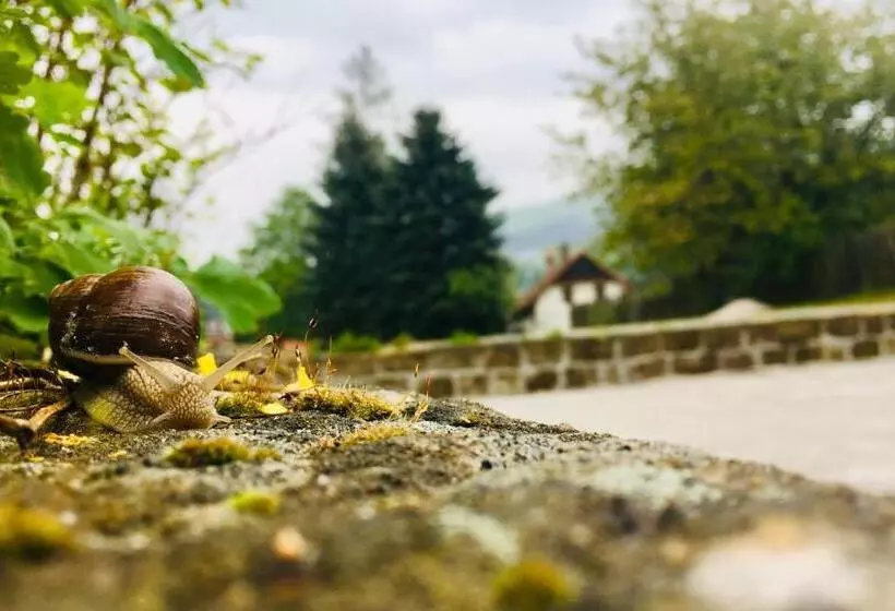 Majatalo Penzion Sloup