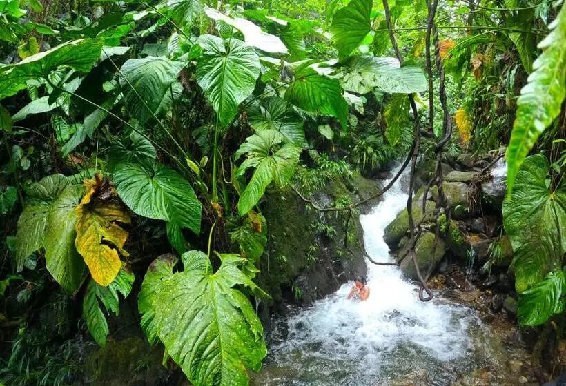 ユースホステル Termales El Escondite