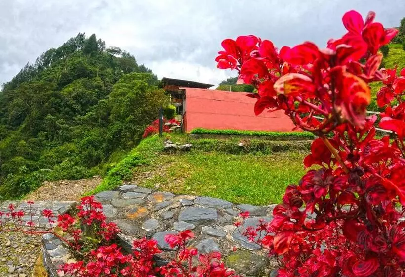 ユースホステル Termales El Escondite