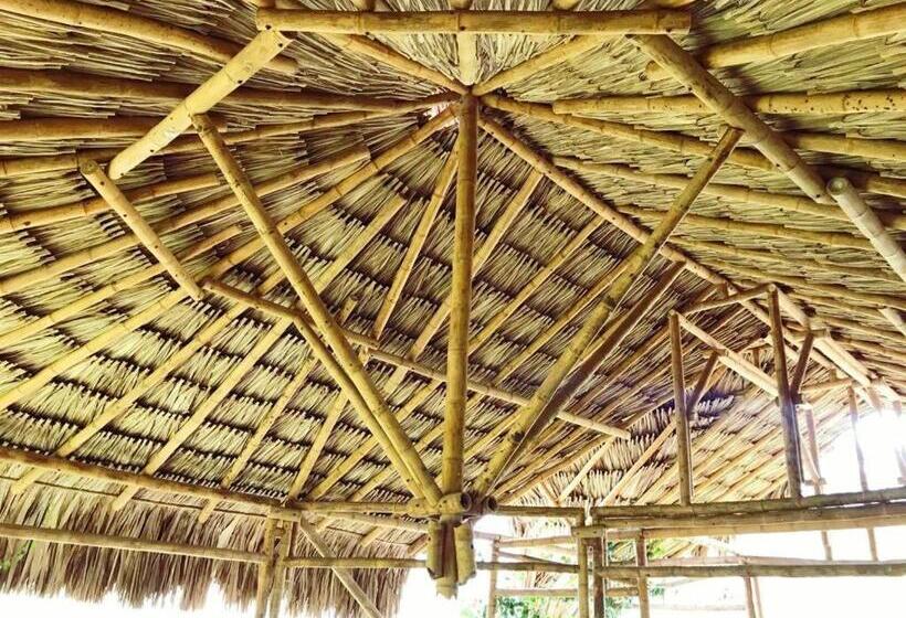 Bed and Breakfast Campestre Mirador Calopala