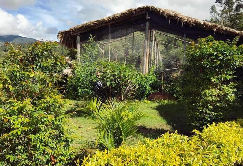 Bed and Breakfast Campestre Mirador Calopala