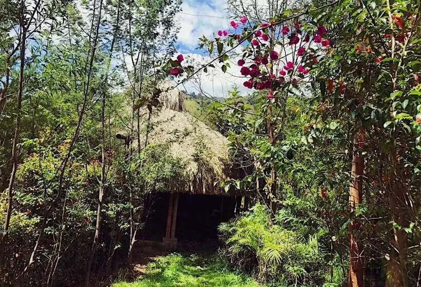 Aamiaismajoitus (B&B) Campestre Mirador Calopala