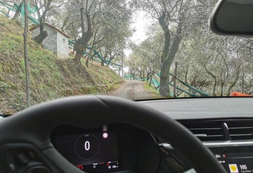 تختخواب و صبحانه Le Fiabe