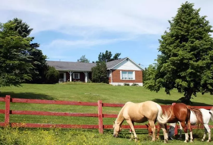 Aamiaismajoitus (B&B) Ranch St Hubert