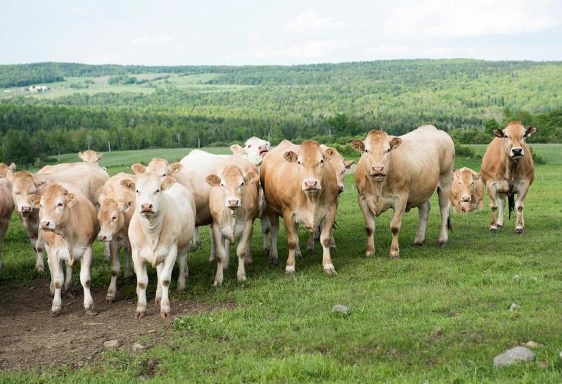 住宿加早餐 Ranch St Hubert