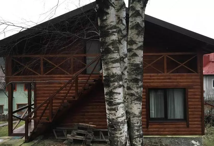 پانسیون три берези