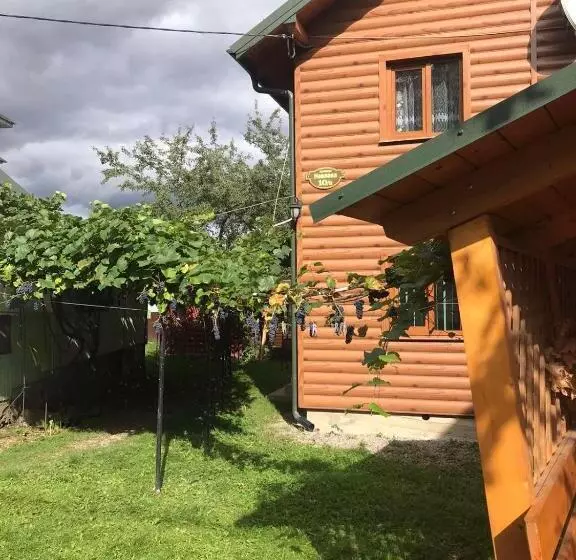پانسیون базилік