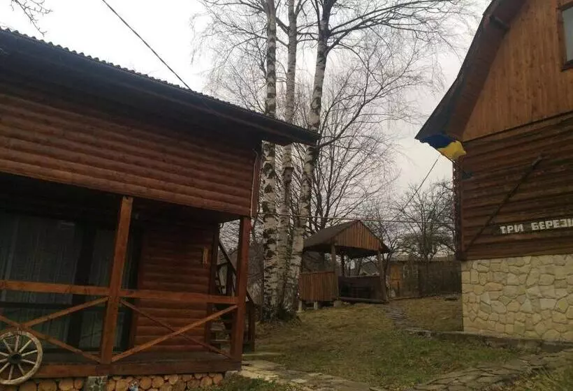 پانسیون три берези