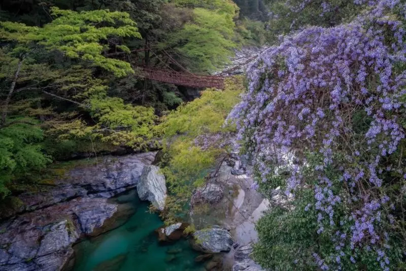 ペンション 四国旅行のhub拠点 古民家ゲストハウス Heso Camp