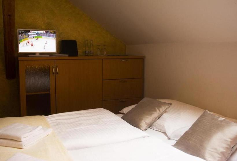 膳宿费 Penziã³n Kamennã½ Dvor