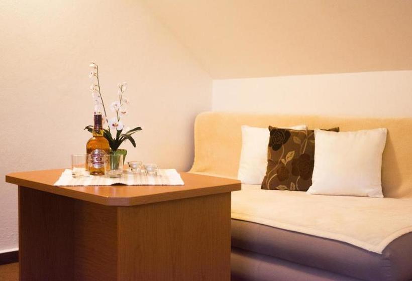 膳宿费 Penziã³n Kamennã½ Dvor