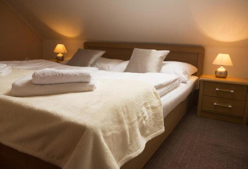 膳宿费 Penziã³n Kamennã½ Dvor