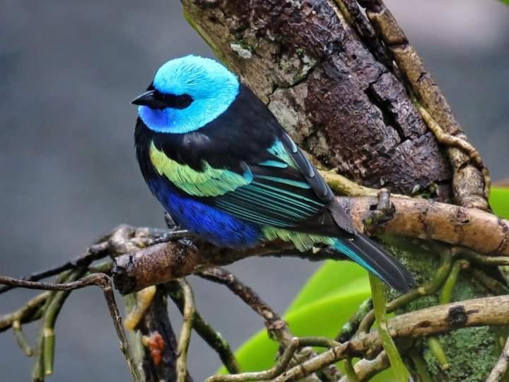 민박 Hosteria Shell