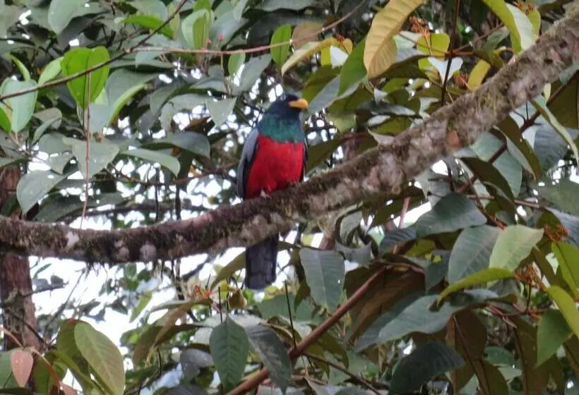 Bed & Breakfast Hosteria Shell