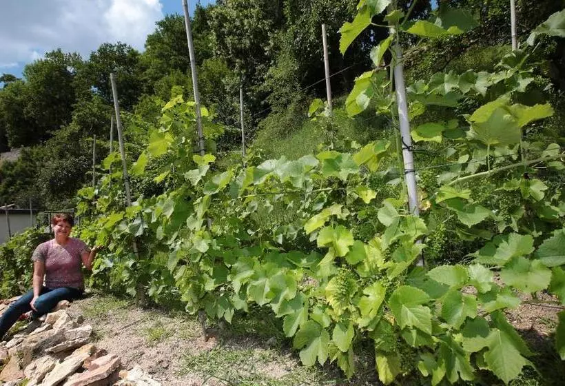 Majatalo Balancehaus Kohren Sahlis, Dein Kurhaus In Sachsen