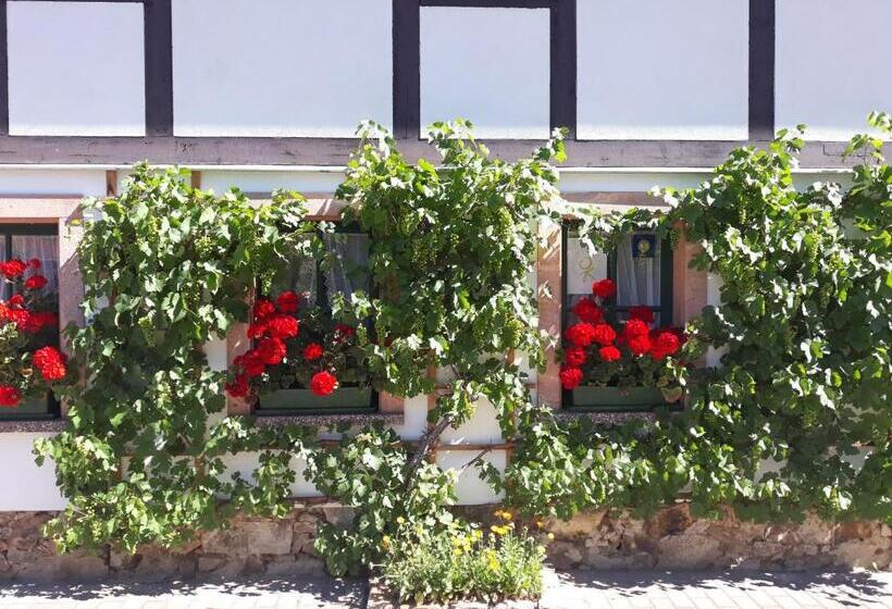 פנסיון Balancehaus Kohren Sahlis, Dein Kurhaus In Sachsen