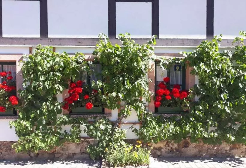 Majatalo Balancehaus Kohren Sahlis, Dein Kurhaus In Sachsen