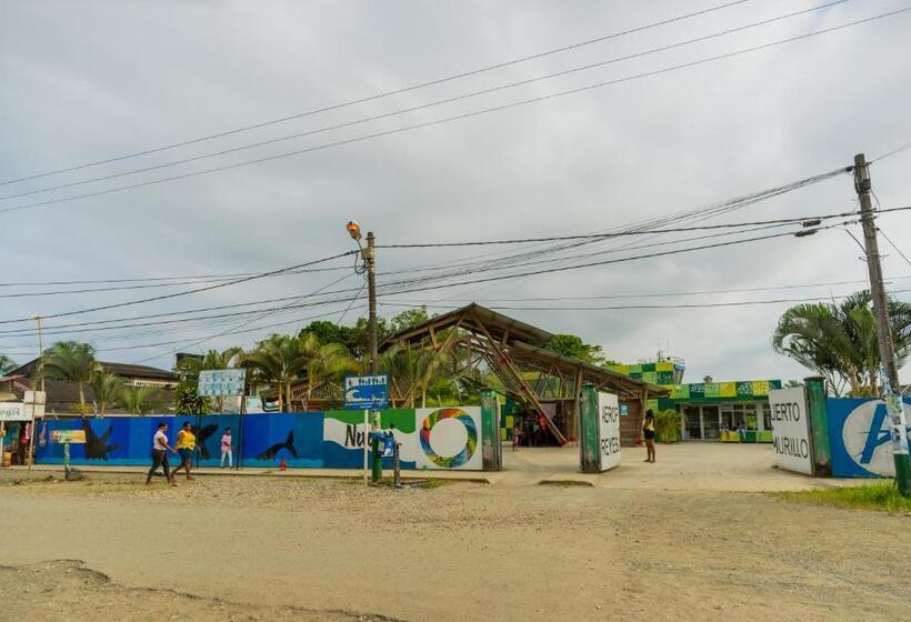 Pension (Hôtel basse catégorie) Clau