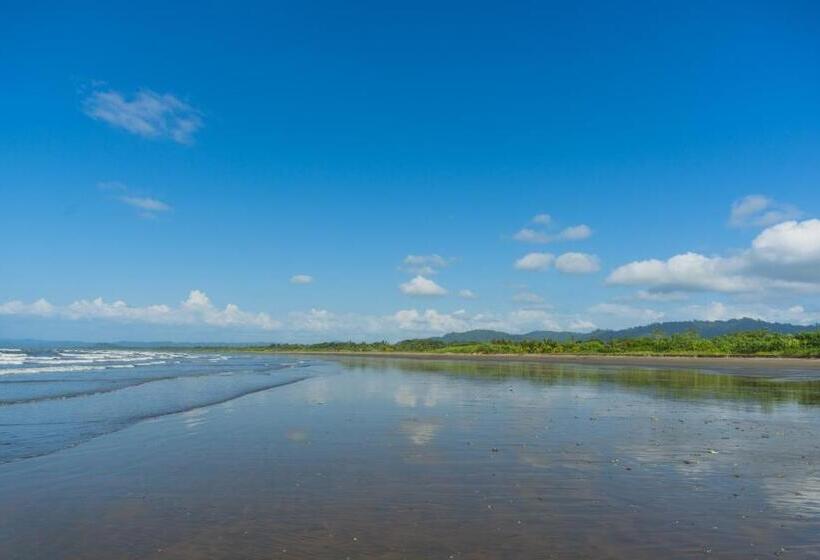 Pension (Hôtel basse catégorie) Clau