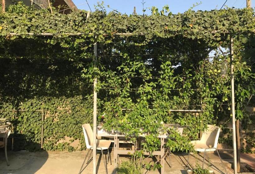 膳宿费 Fati Guest House