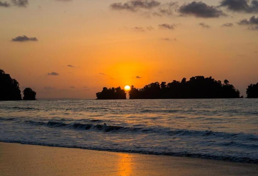 Pension (Hôtel basse catégorie) Clau