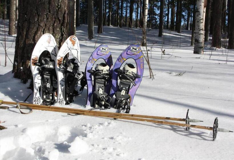 פנסיון Kiipula Guest House