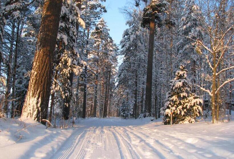 פנסיון Kiipula Guest House